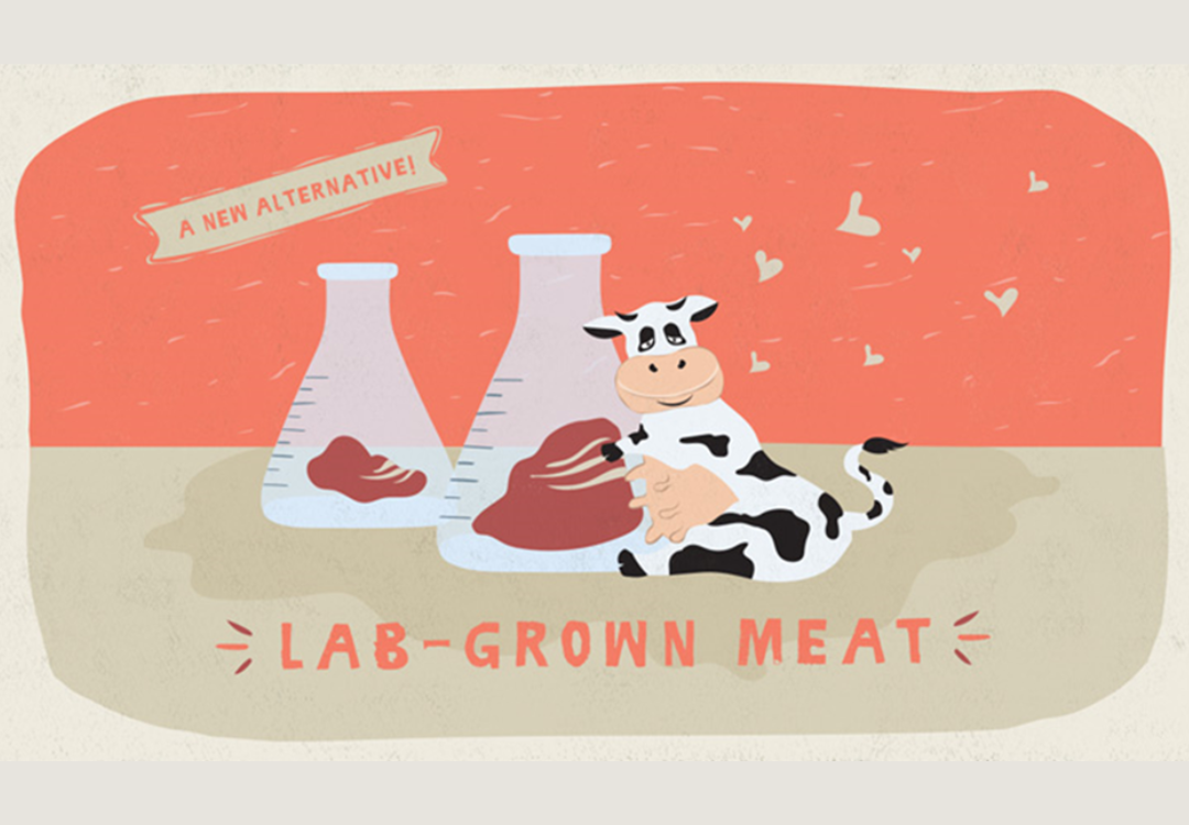 Lab Grown Meat A K A Cultured Meat Food Safety Works