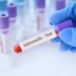 Salmonella Outbreak in Norway