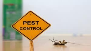 Pest Control: A Critical PRP for Food Safety